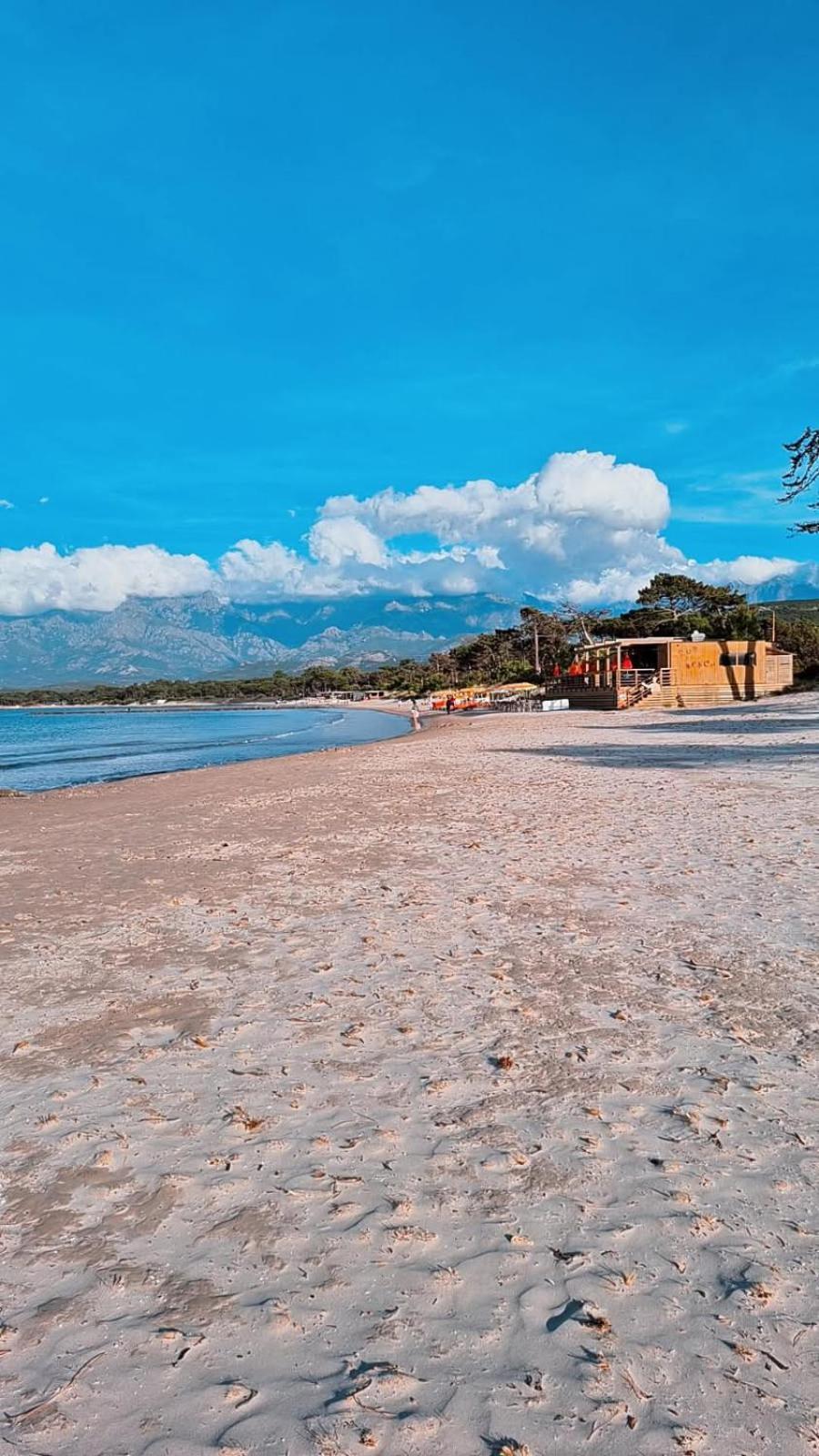 Studio Proche De La Mer Кальви Экстерьер фото